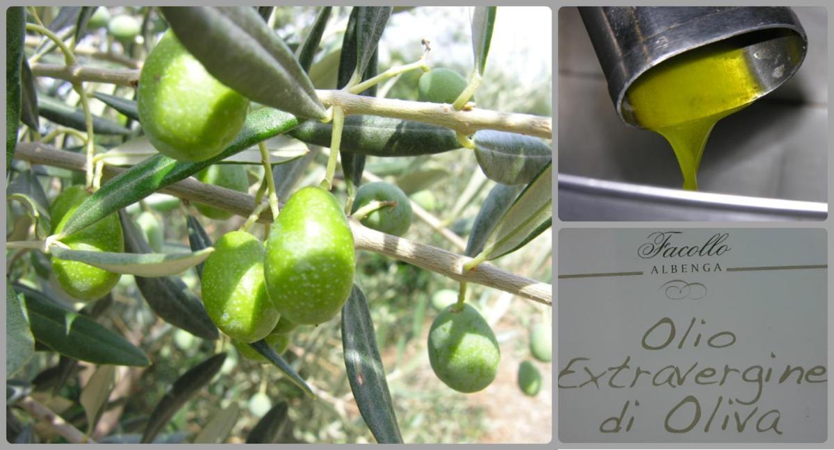 Casa Leuca Albenga Daire Dış mekan fotoğraf